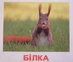 kart.diki.tvarini.po.domanu.ukr.d